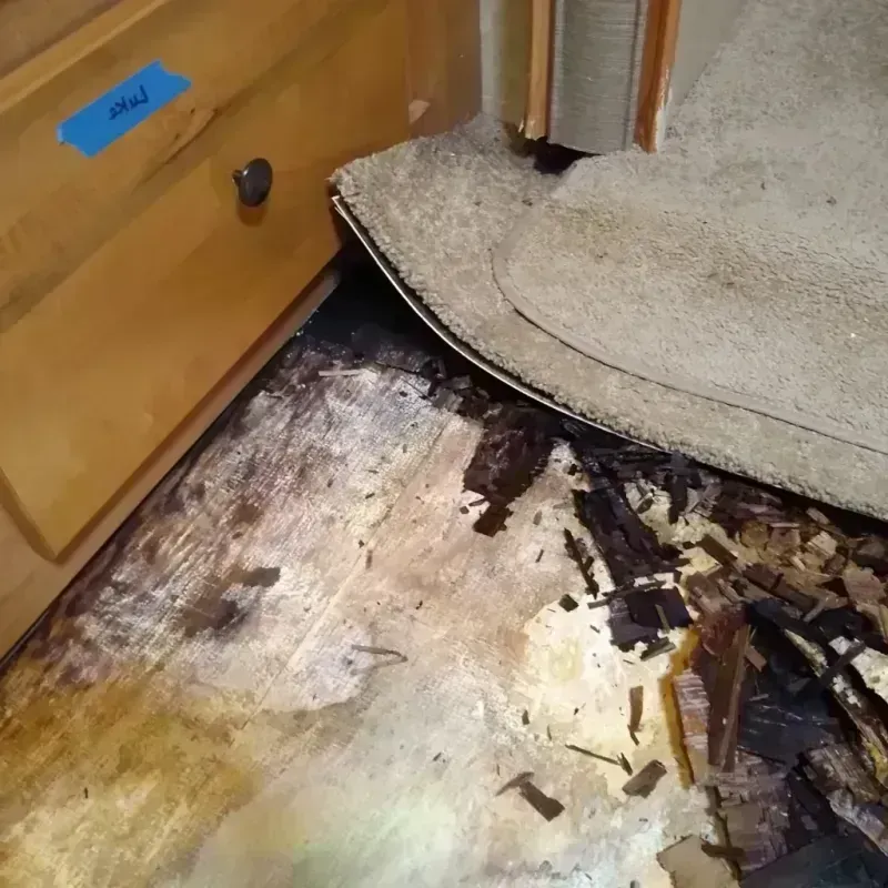 Wood Floor Water Damage in Socorro, TX